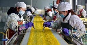 Employees work at a food processing factory in Yichang